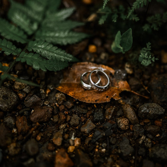 Unveiling the Elegance - The Seeker Jewelry Collection